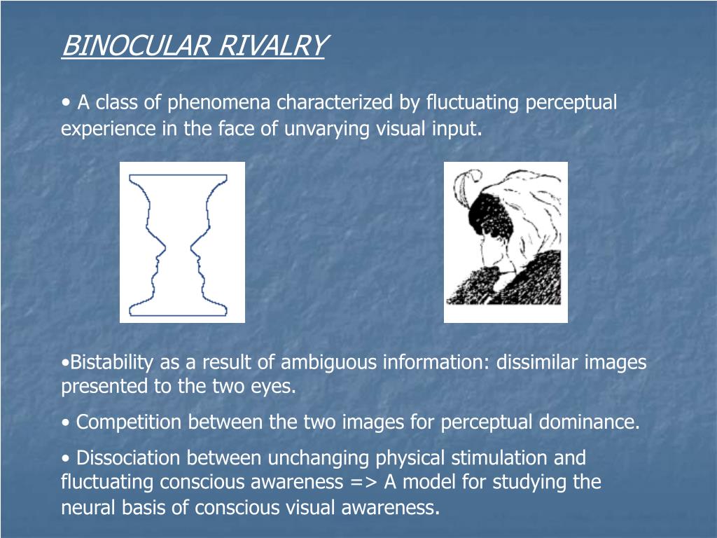 PPT BINOCULAR RIVALRY PowerPoint Presentation, free download ID3561637