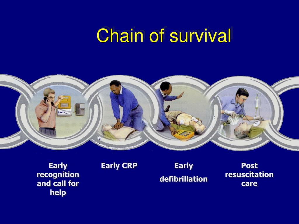 PPT BASIC LIFE SUPPORT PowerPoint Presentation ID3562757
