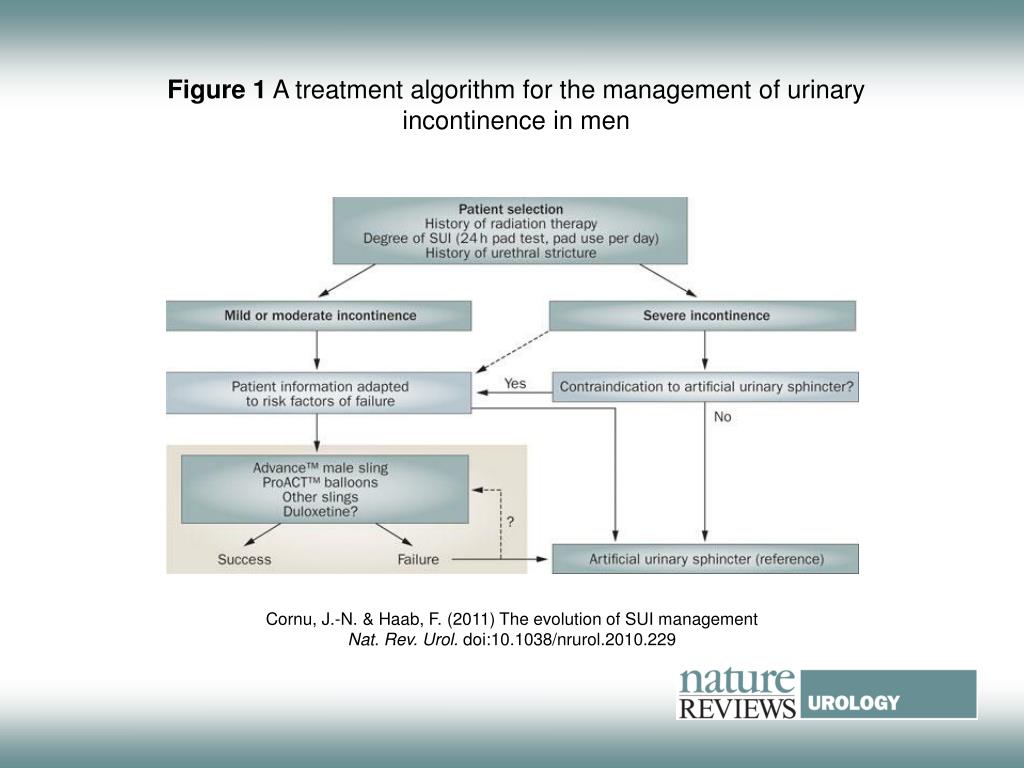 PPT Figure 1 A treatment algorithm for the management of urinary
