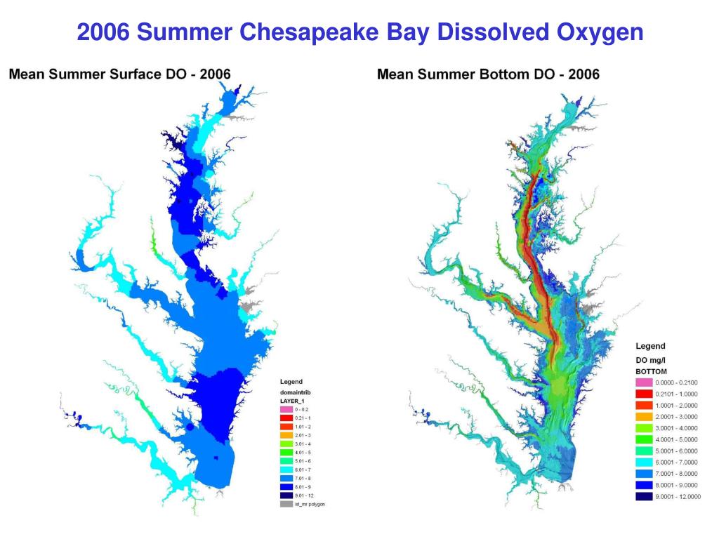 PPT Chesapeake Bay Hypoxia PowerPoint Presentation, free download