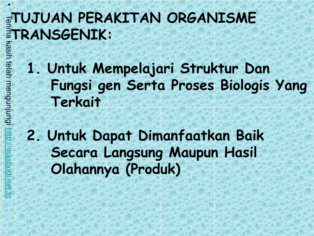 PPT TRANSGENESIS Proses Perakitan Organisme Transgenik Organisme
