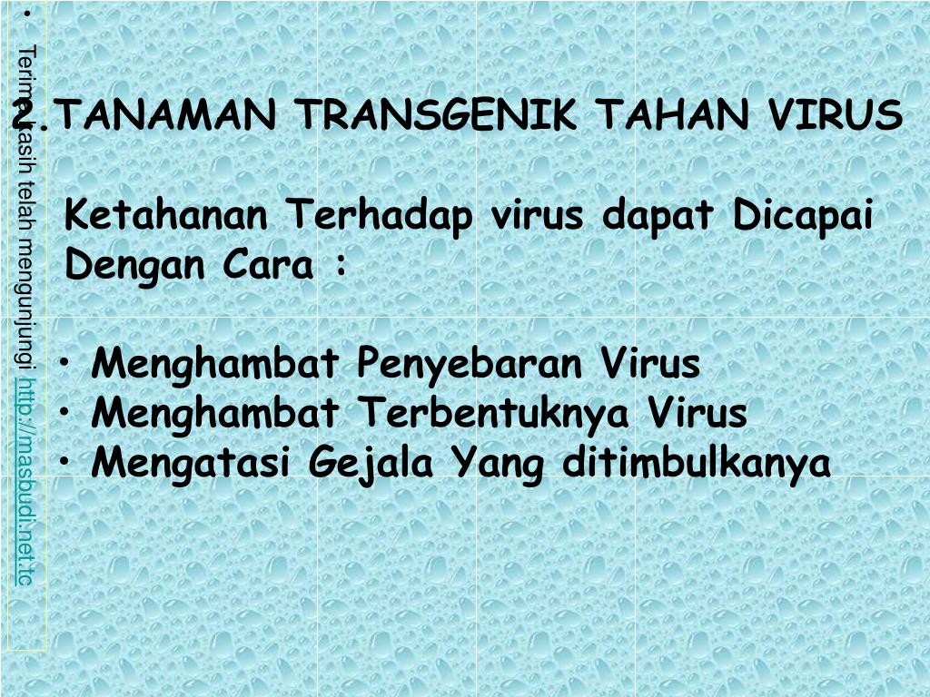 PPT TRANSGENESIS Proses Perakitan Organisme Transgenik Organisme