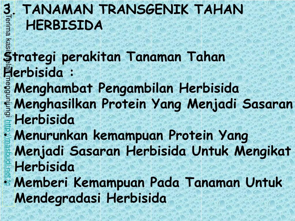 PPT TRANSGENESIS Proses Perakitan Organisme Transgenik Organisme