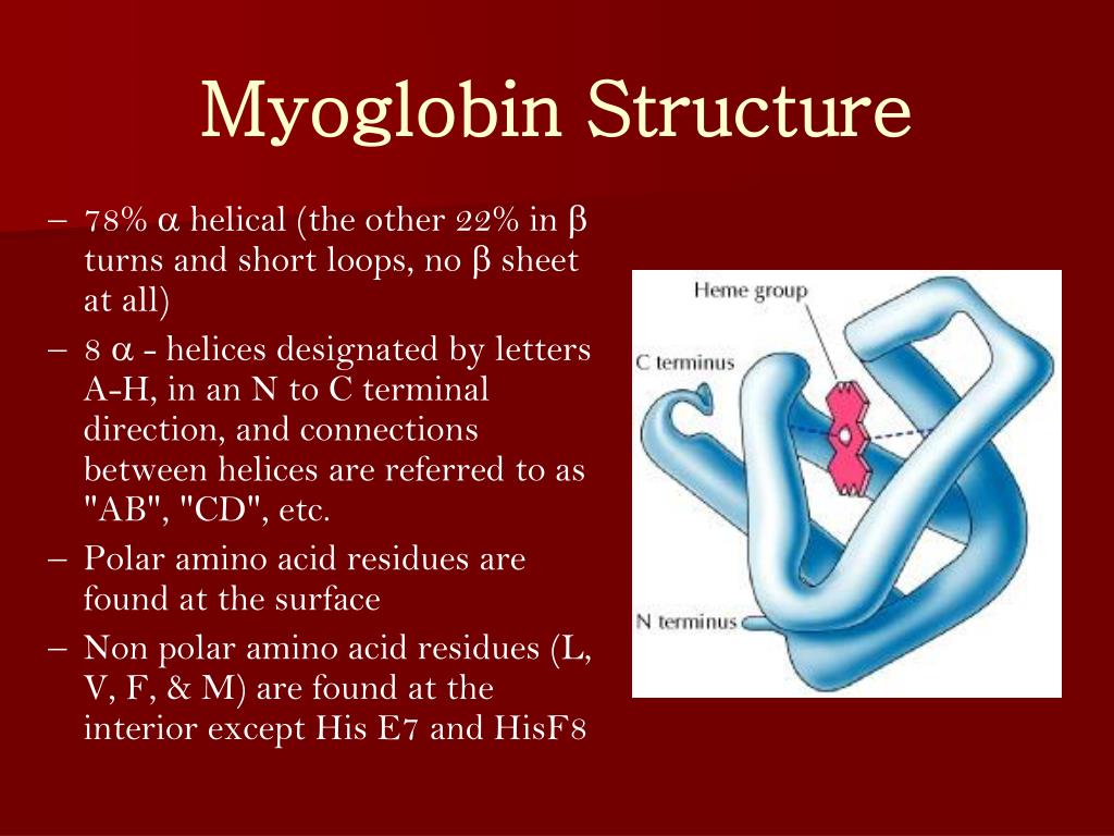 PPT PROTEINS PowerPoint Presentation, free download ID3569970