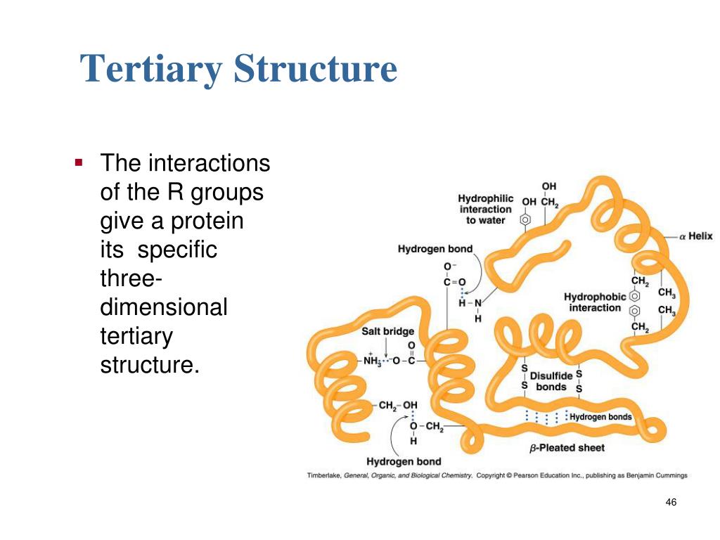PPT Amino Acids and Proteins PowerPoint Presentation, free download