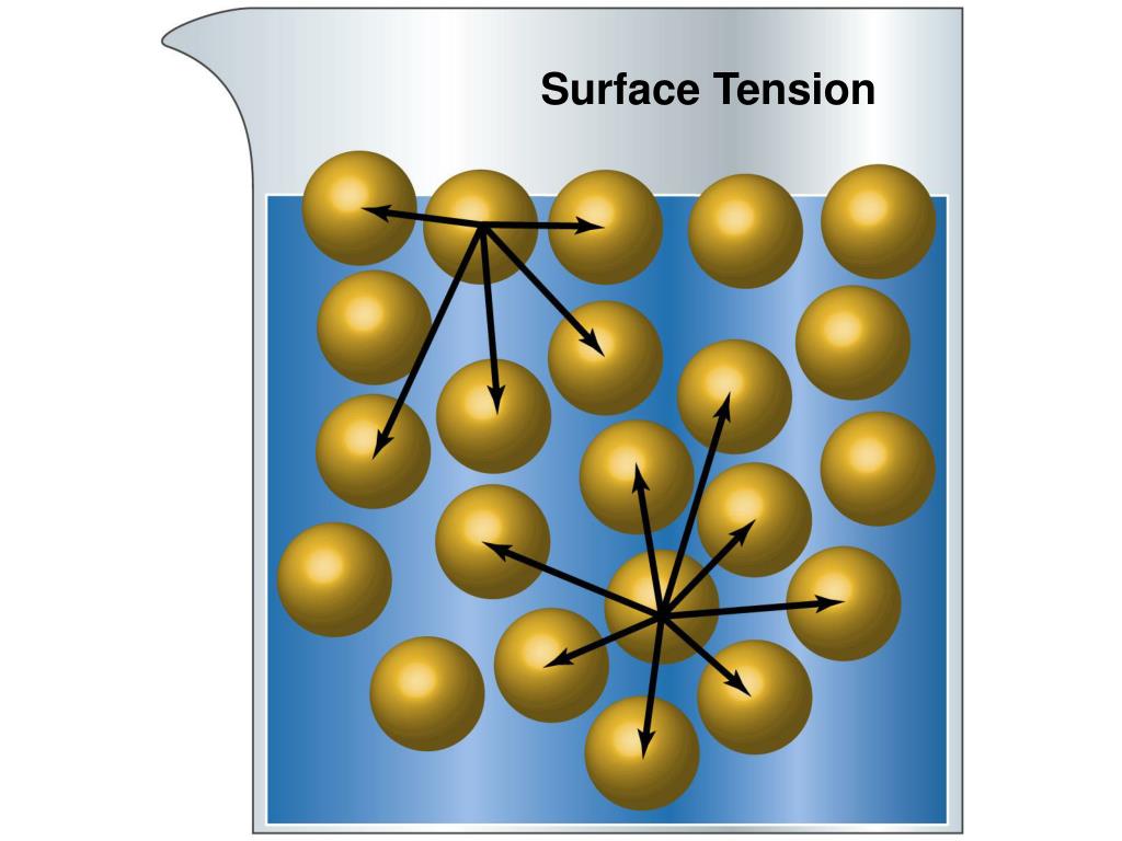 PPT Solids, Liquids, Gases (and Solutions) PowerPoint Presentation, free download ID3571044