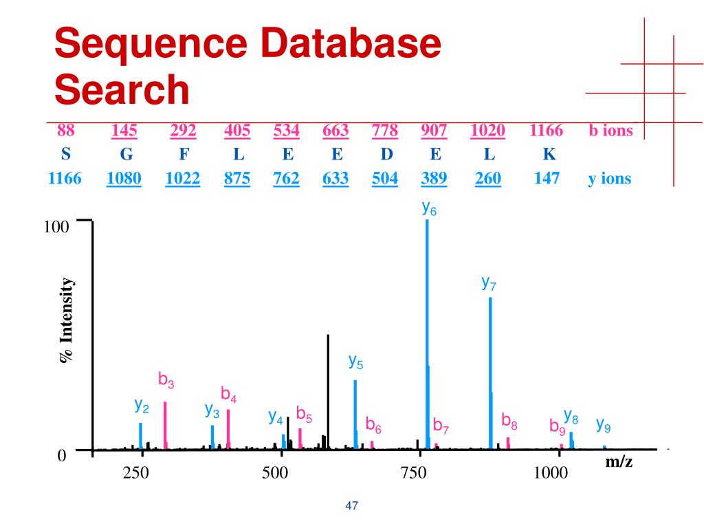 PPT Protein Identification by Sequence Database Search PowerPoint