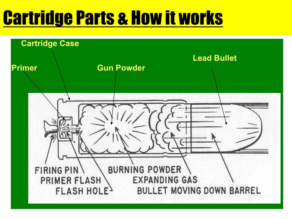 PPT Firearms PowerPoint Presentation, free download ID3574888
