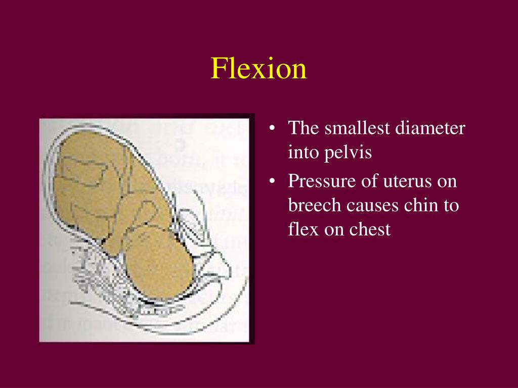 PPT Intrapartum PowerPoint Presentation, free download ID3575703