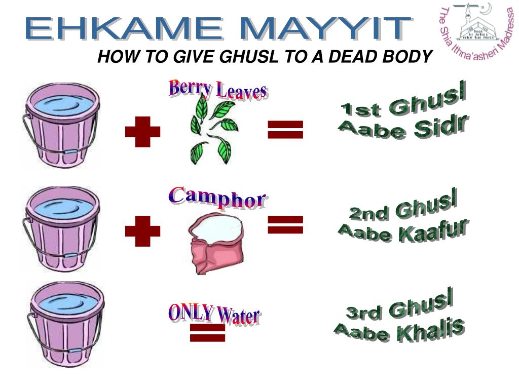 PPT GHUSL PowerPoint Presentation, free download ID3576818