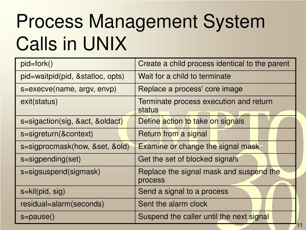 PPT Chapter 7 UNIX and LINUX PowerPoint Presentation, free download