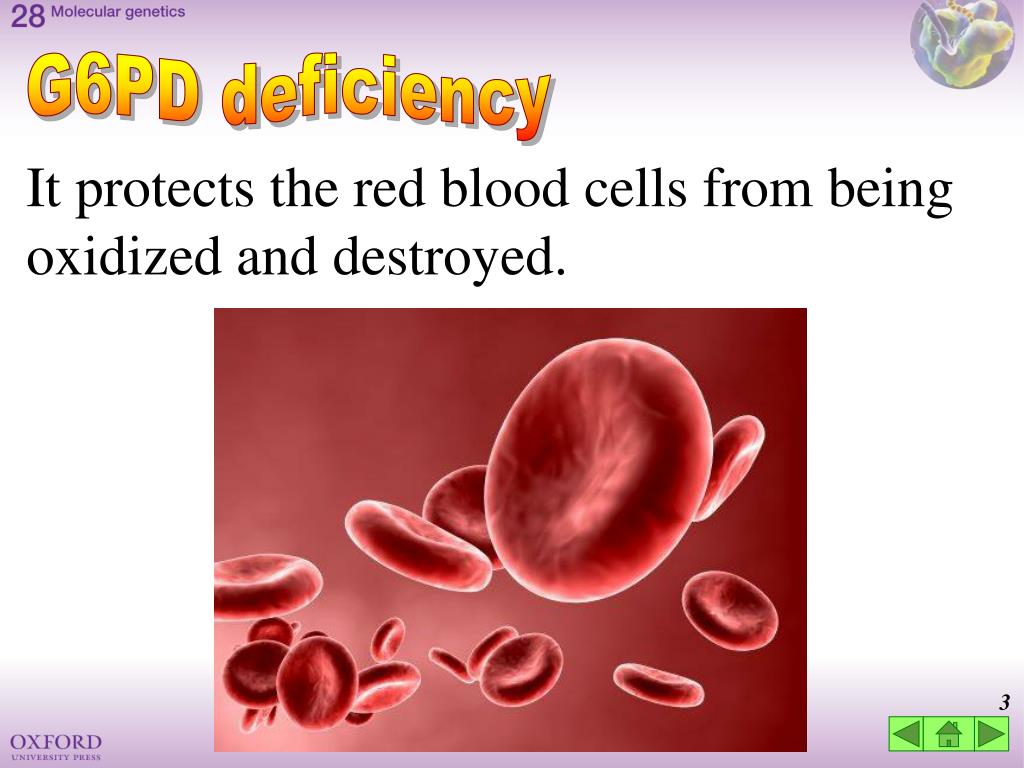 G6Pd Deficiency Powerpoint Presentation G6PD Deficiency The best