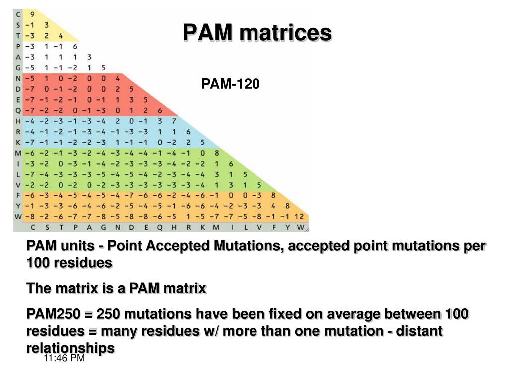 PPT Sequence Analysis PowerPoint Presentation, free download ID3579463