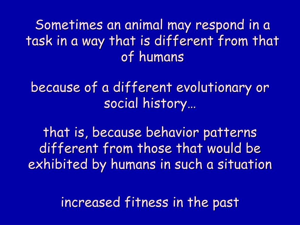 PPT Rational Animals? Conscious Behavior? PowerPoint Presentation