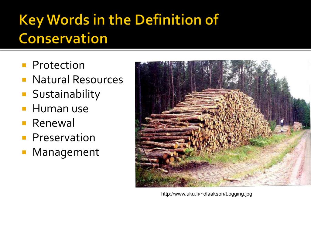 PPT Environmental Biology PowerPoint Presentation, free download ID