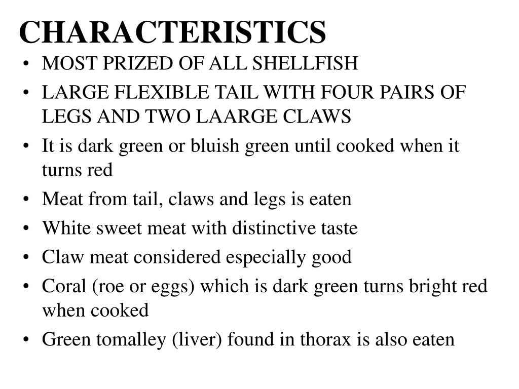 PPT SHELLFISH PowerPoint Presentation, free download ID3589357