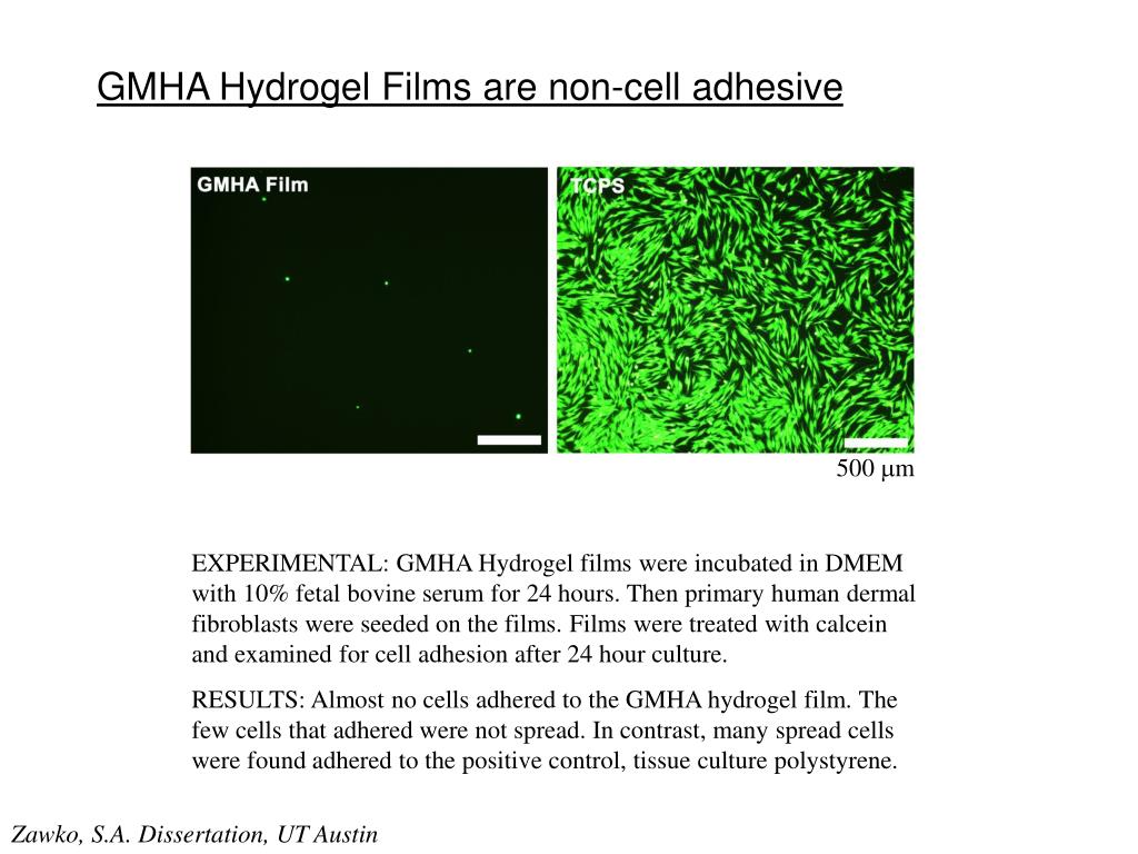 PPT Hyaluronic Acid Hydrogel Films PowerPoint Presentation, free