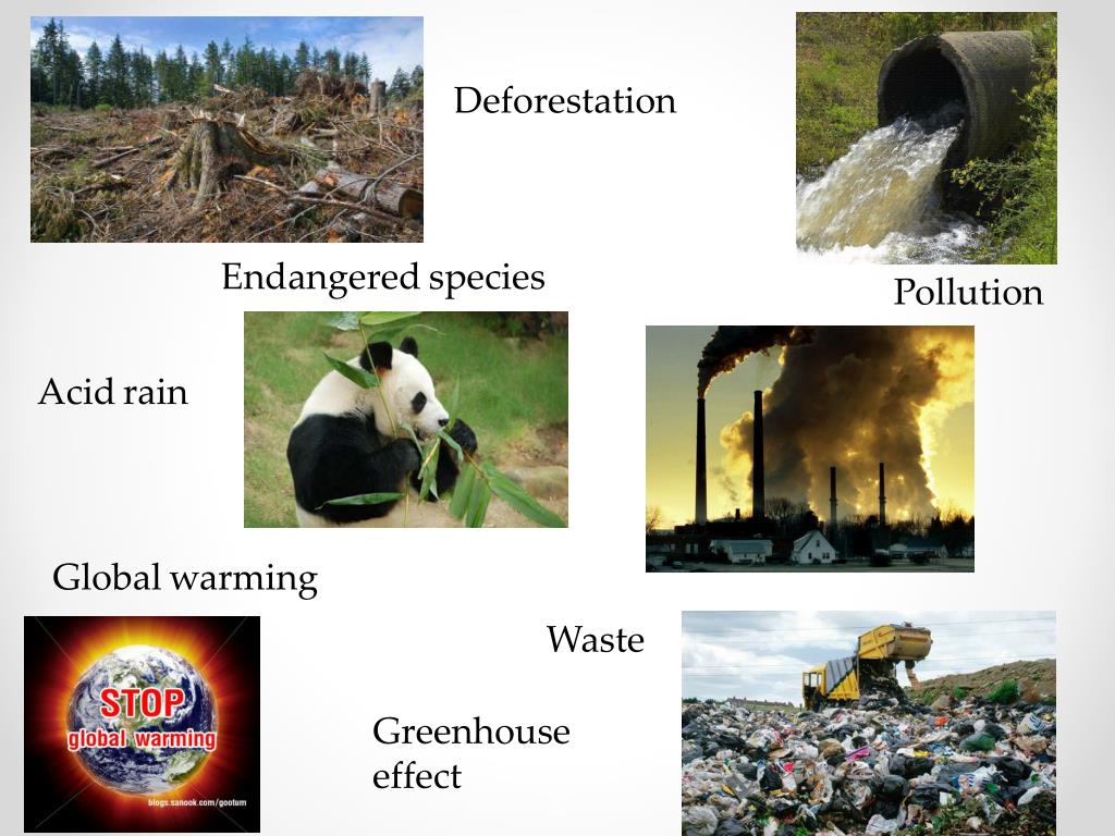 PPT Environmental problems PowerPoint Presentation, free download