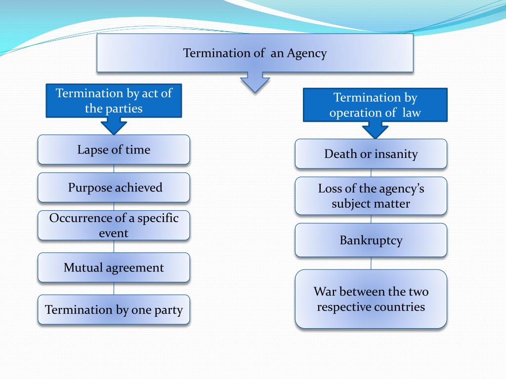 PPT Chapter Five PowerPoint Presentation, free download ID3593812