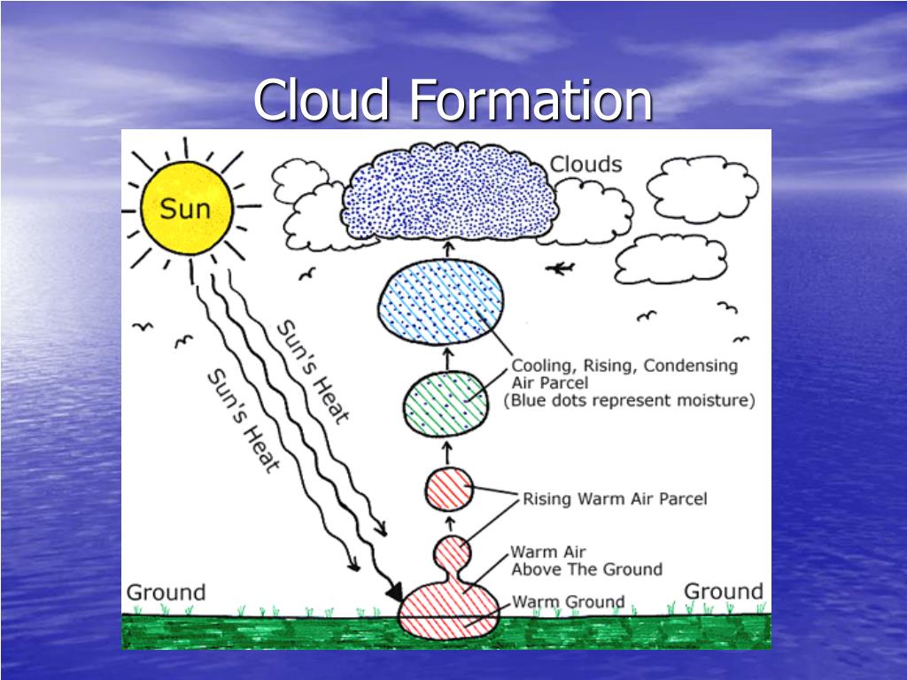 PPT Chapter 23 Section 2 Review Page 586 ‘s 16 “Clouds and Fog