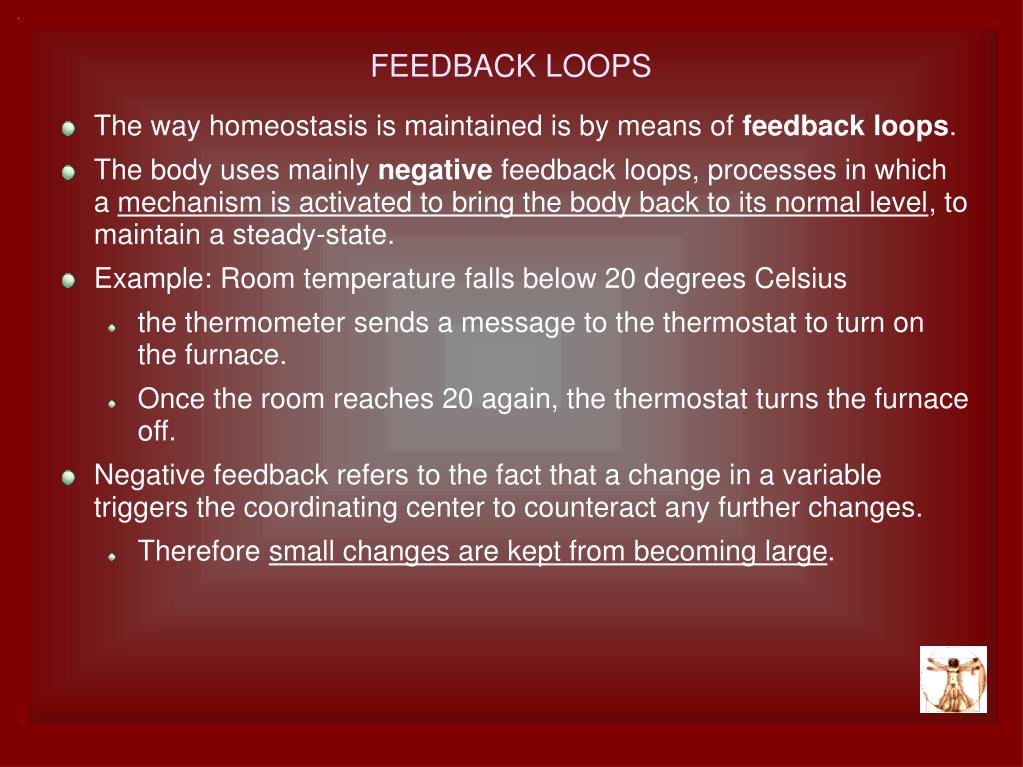 PPT UNIT 3 HOMEOSTASIS PowerPoint Presentation, free download ID