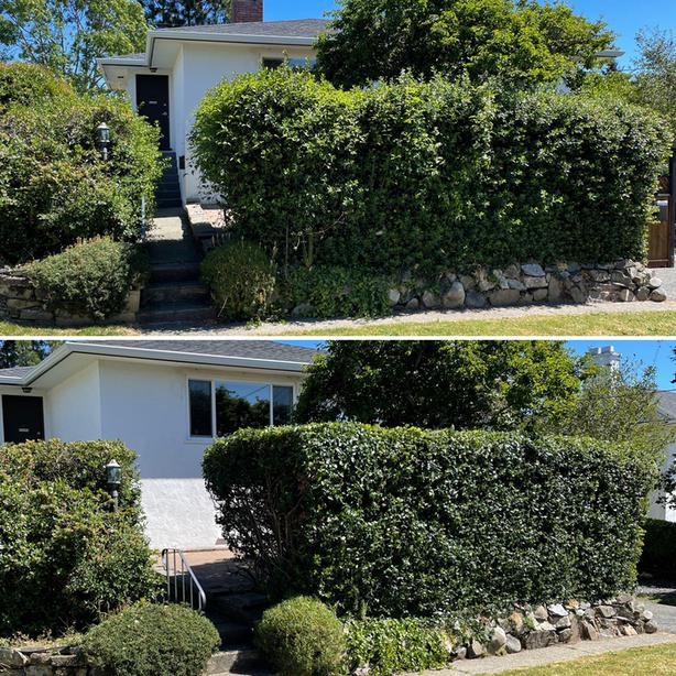 Licensed & Insured Hedge Trimming, Lawn Care and Garden Clean Ups