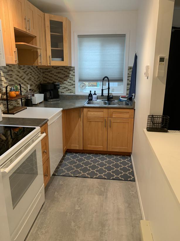 Bachelor suite in Saanich area Classifieds for Jobs, Rentals, Cars