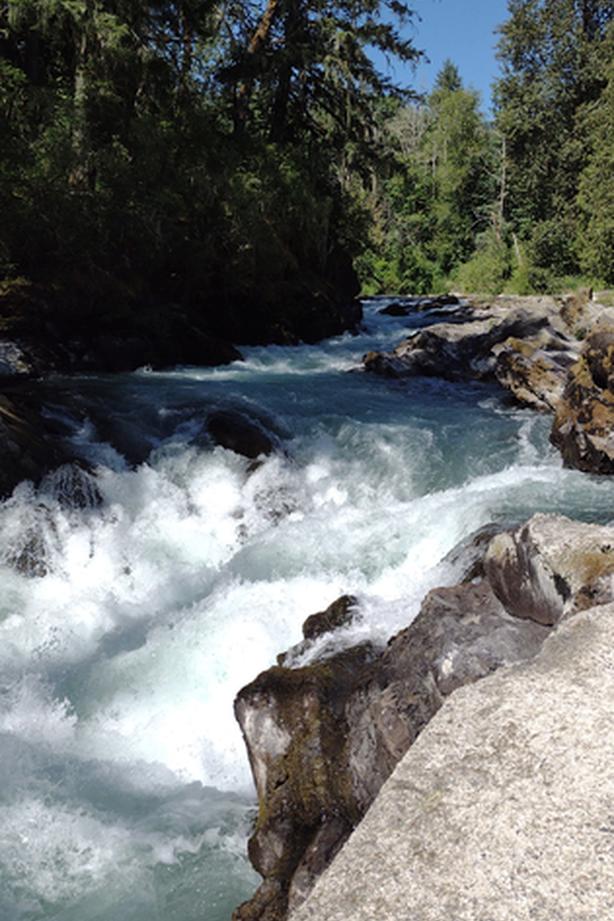 Lot 2 Connelly Rd., Skutz Falls, Lake Cowichan Classifieds for Jobs