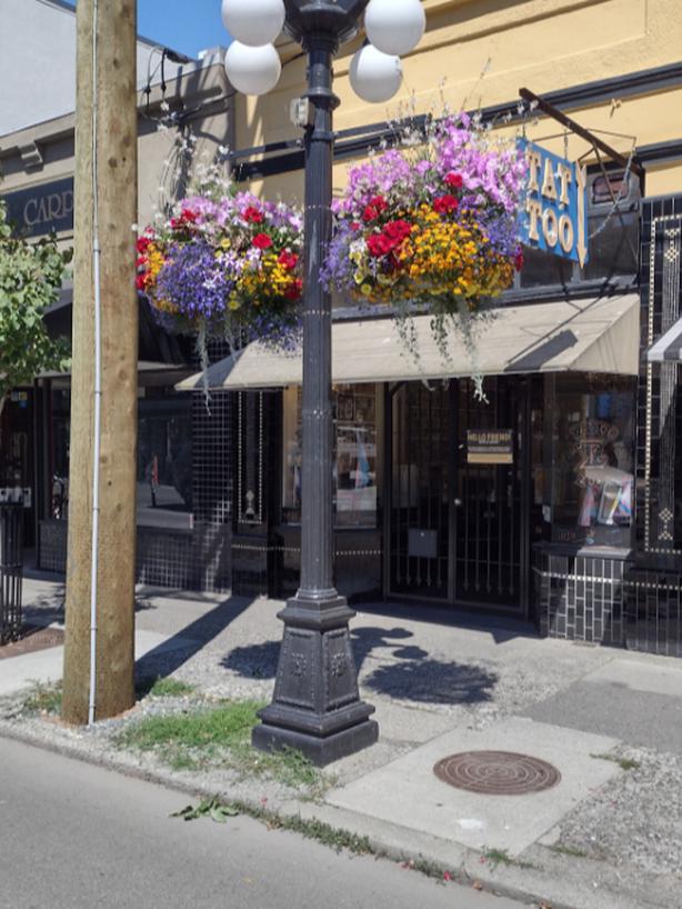 826 Fort St. Victoria BC Classifieds for Jobs, Rentals, Cars