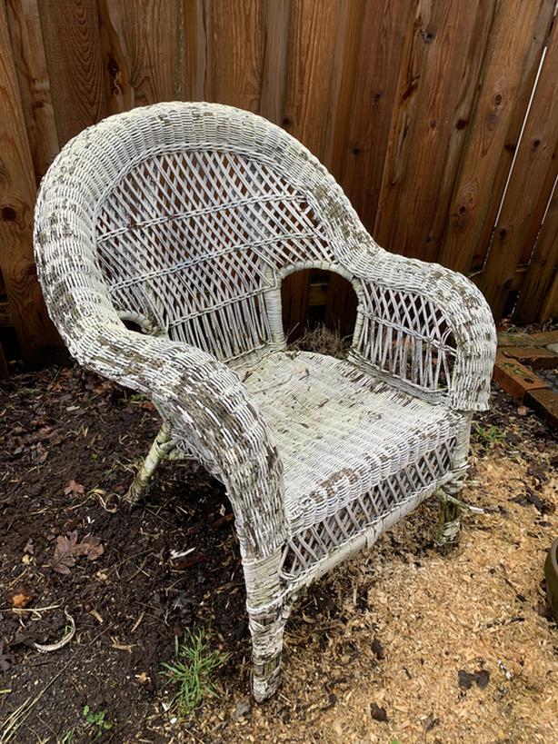 Wicker chair Classifieds for Jobs, Rentals, Cars, Furniture and Free