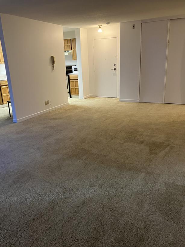 Large one bed/one bath in Gordon Head Classifieds for Jobs, Rentals