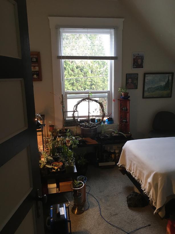 room for rent unfurnished share flat Chemainus Classifieds for