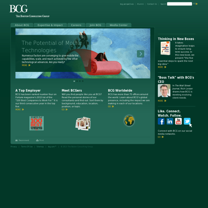 Bcg net worth