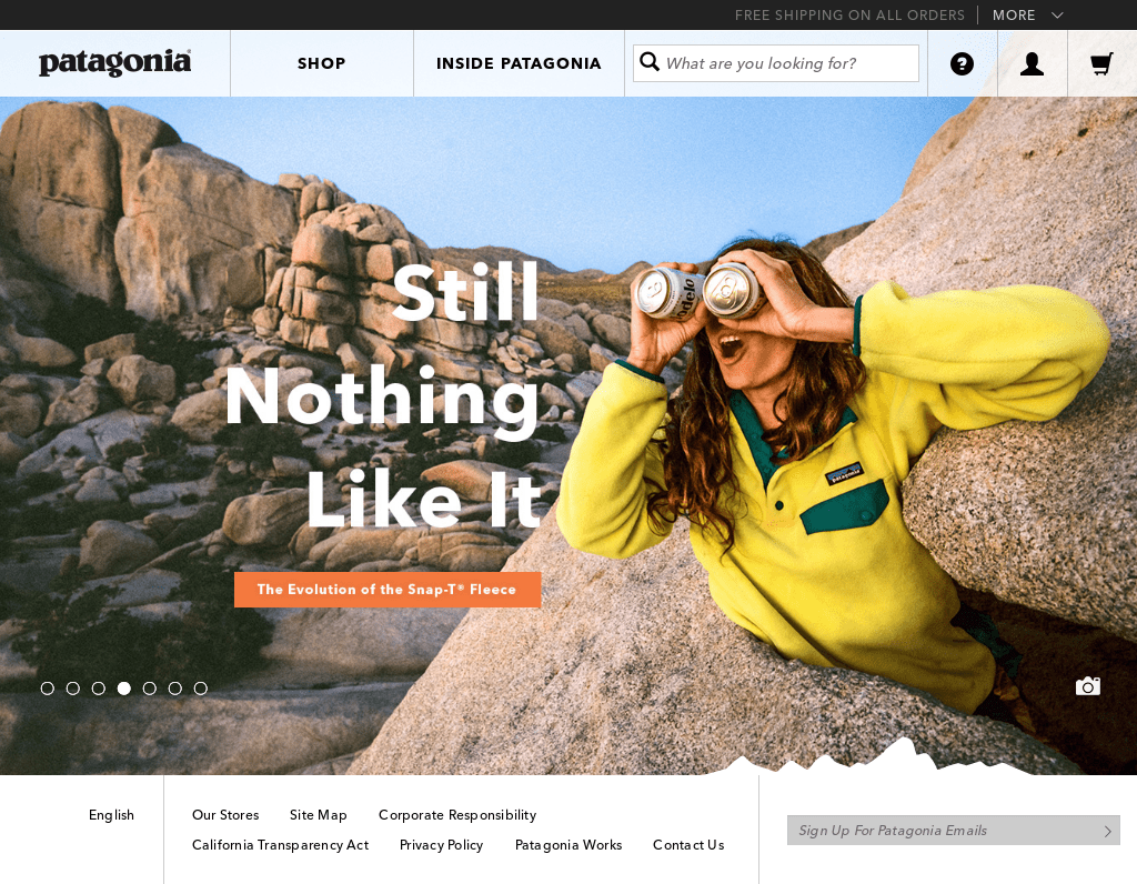 Outstanding Patagonia Financial Statements Companies With Strong