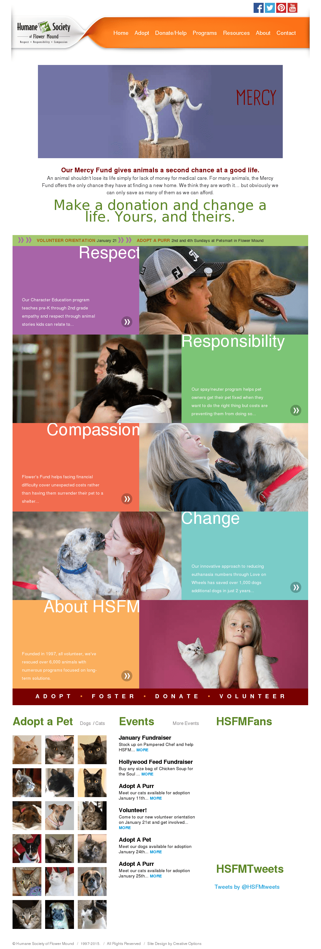 Petsmart Flower Mound Number Best Flower Site