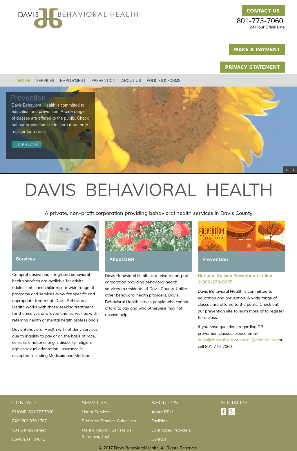Davis Behavioral Health Competitors Revenue And Employees