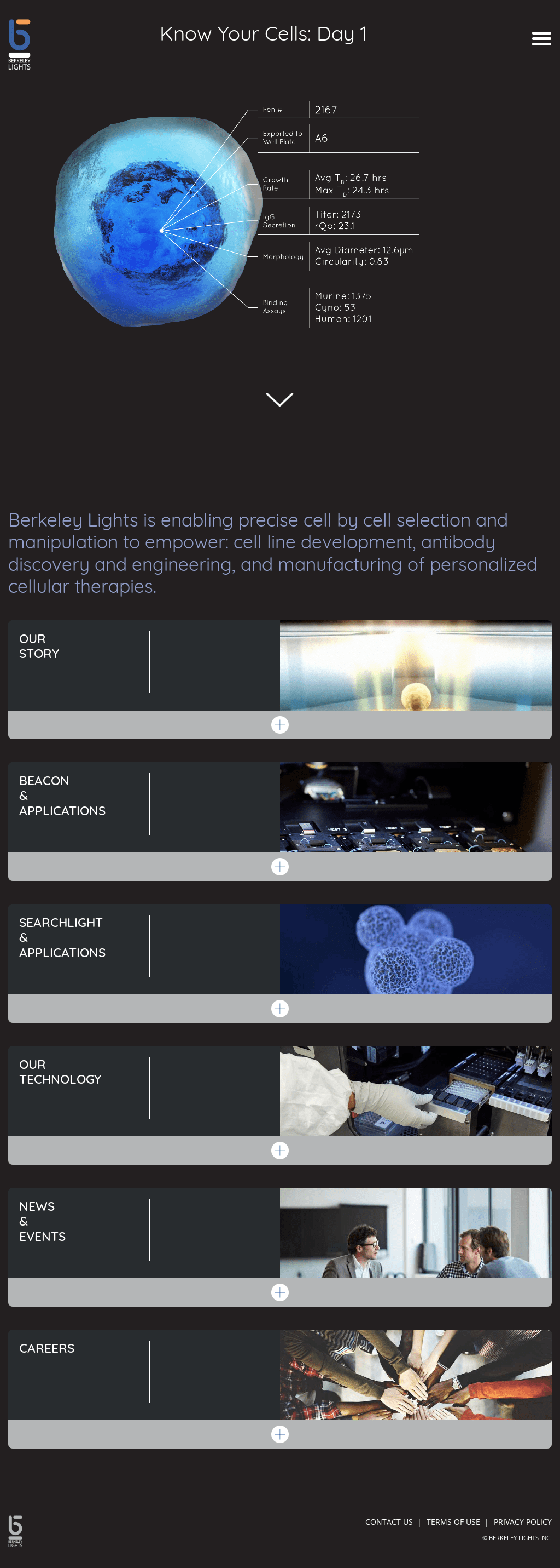 Berkeley Lights Beacon Shelly Lighting