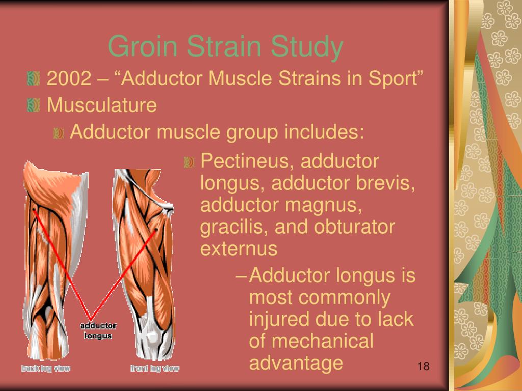 PPT Injuries of the Hip and Groin PowerPoint Presentation, free