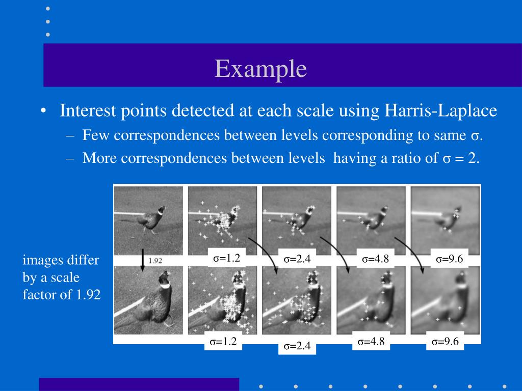 PPT Interest Point Detectors (see CS485/685 notes for more details