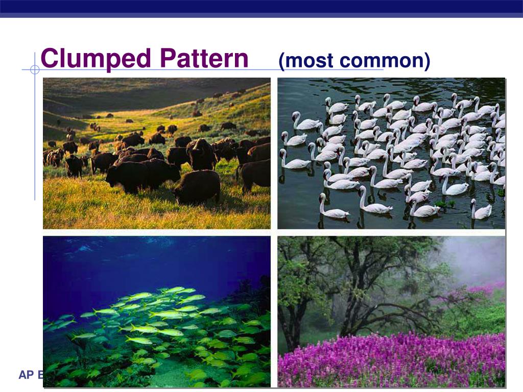 PPT Population Ecology PowerPoint Presentation, free download ID