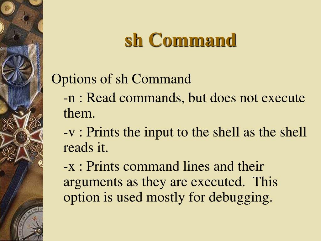 PPT Shell Programming PowerPoint Presentation, free download ID3607794