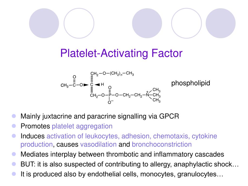 PPT Metabolism of leukocytes and platelets PowerPoint Presentation