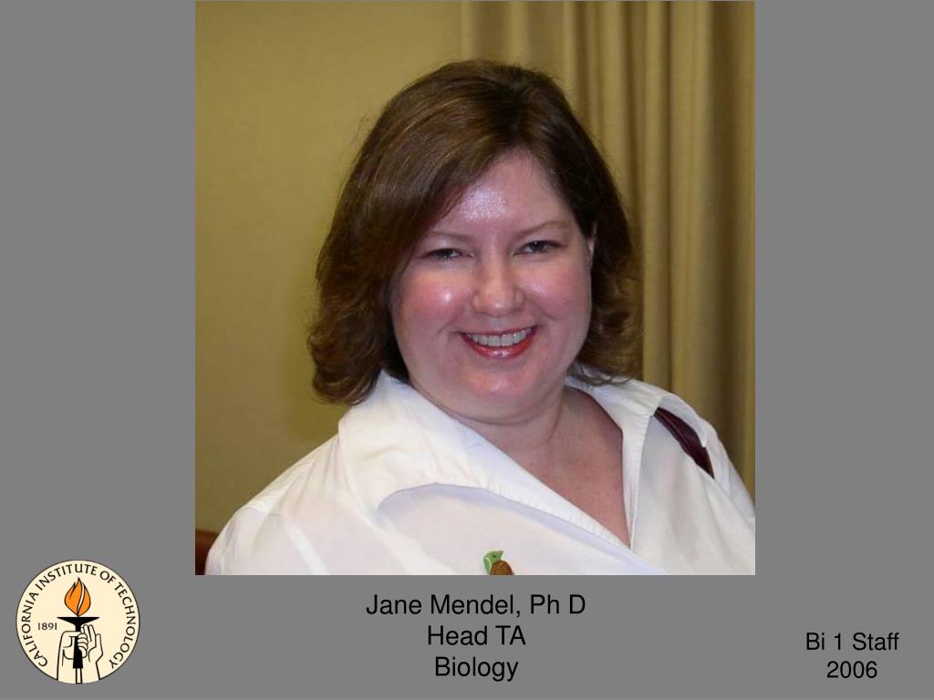 PPT Amber Southwell GTA Biology PowerPoint Presentation, free