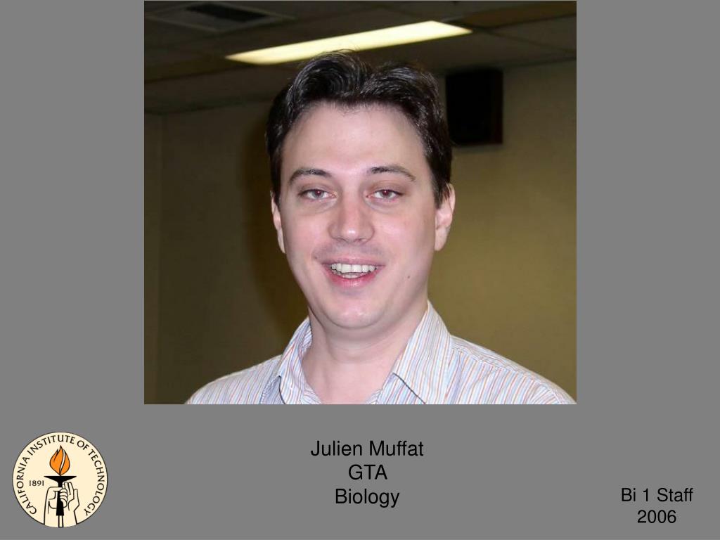 PPT Amber Southwell GTA Biology PowerPoint Presentation, free