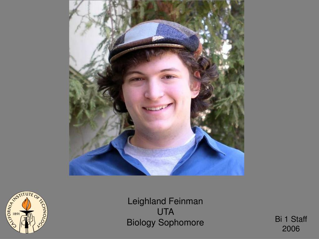 PPT Amber Southwell GTA Biology PowerPoint Presentation, free