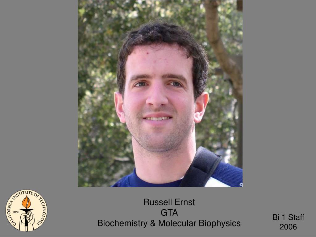 PPT Amber Southwell GTA Biology PowerPoint Presentation, free