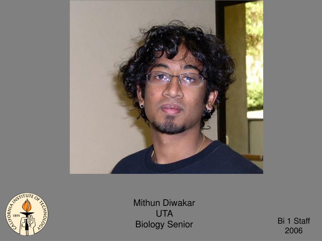 PPT Amber Southwell GTA Biology PowerPoint Presentation, free