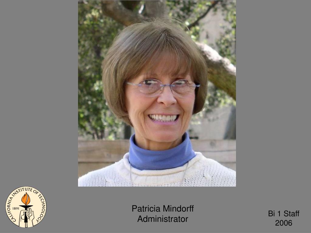 PPT Amber Southwell GTA Biology PowerPoint Presentation, free