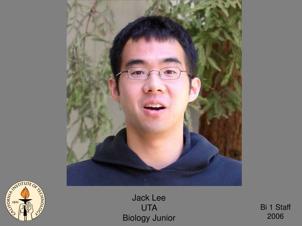 PPT Amber Southwell GTA Biology PowerPoint Presentation, free