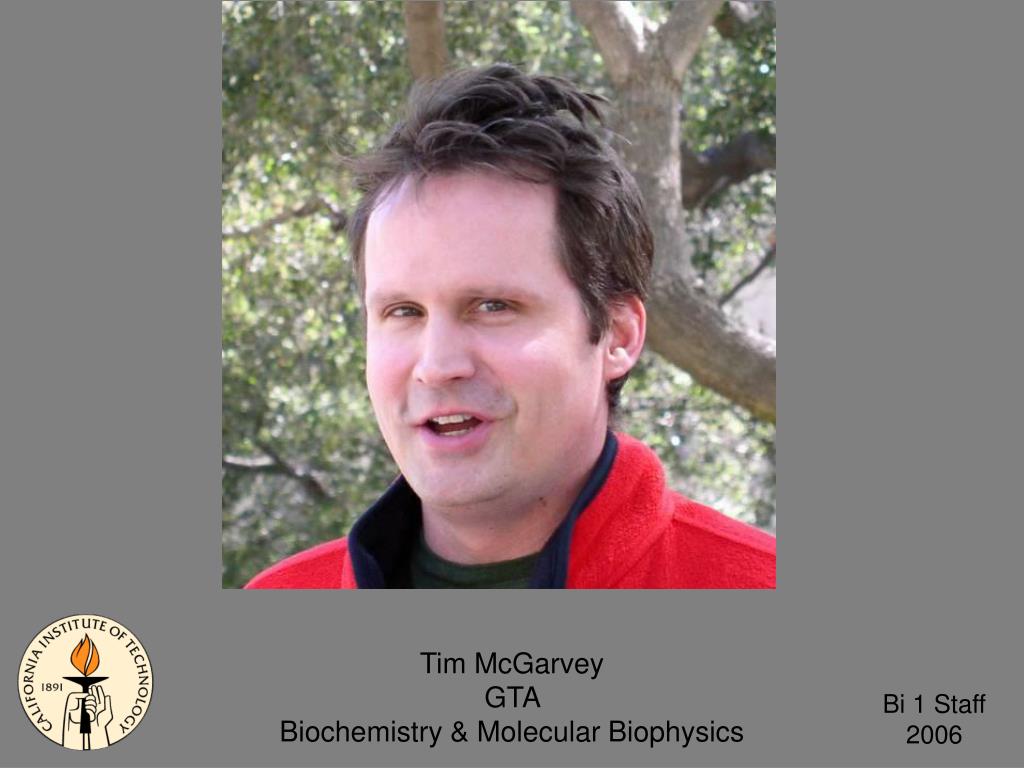 PPT Amber Southwell GTA Biology PowerPoint Presentation, free